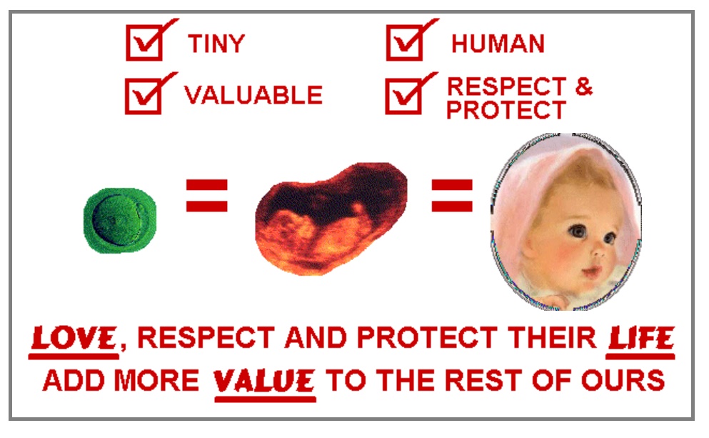 tiny,human,valuable,respect & protect