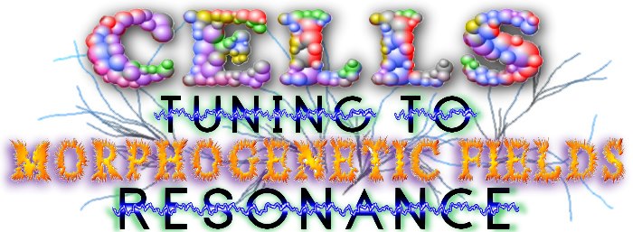 cell tuning to morphogenetic field resonance